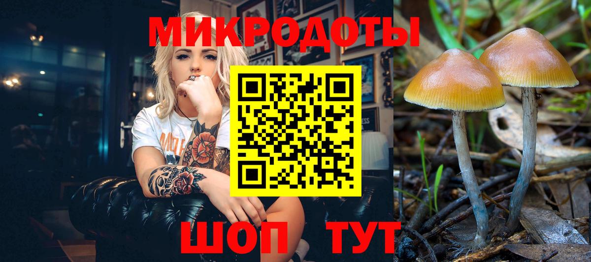 Псилоцибиновые грибы MAGIC MUSHROOMS  Вход с VPN  Татарск 